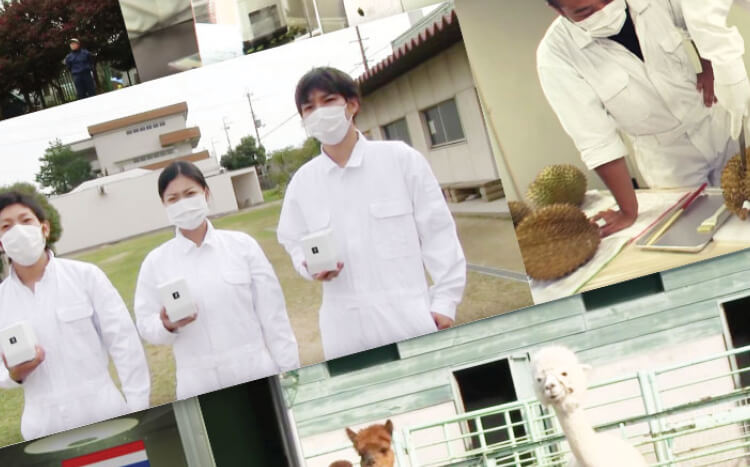Kiểm tra và kiểm nghiệm cho Hiệu quả thực tế - Kiểm nghiệm được thực hiện trong không gian thực tế, sử dụng thực tế và trong điều kiện thí nghiệm