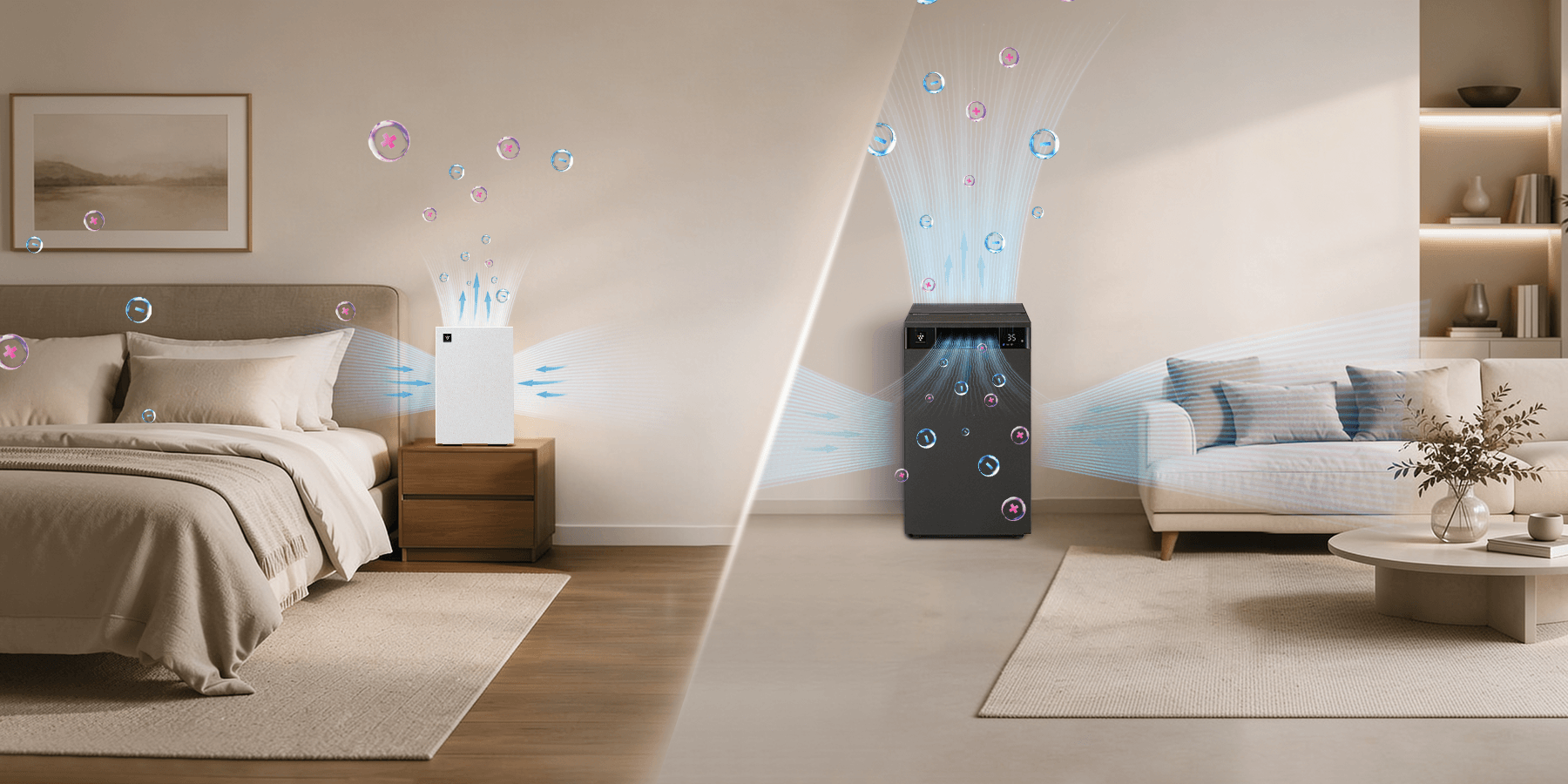 pic2